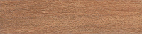 SG 400200N Вяз коричневый  9,9*40,2